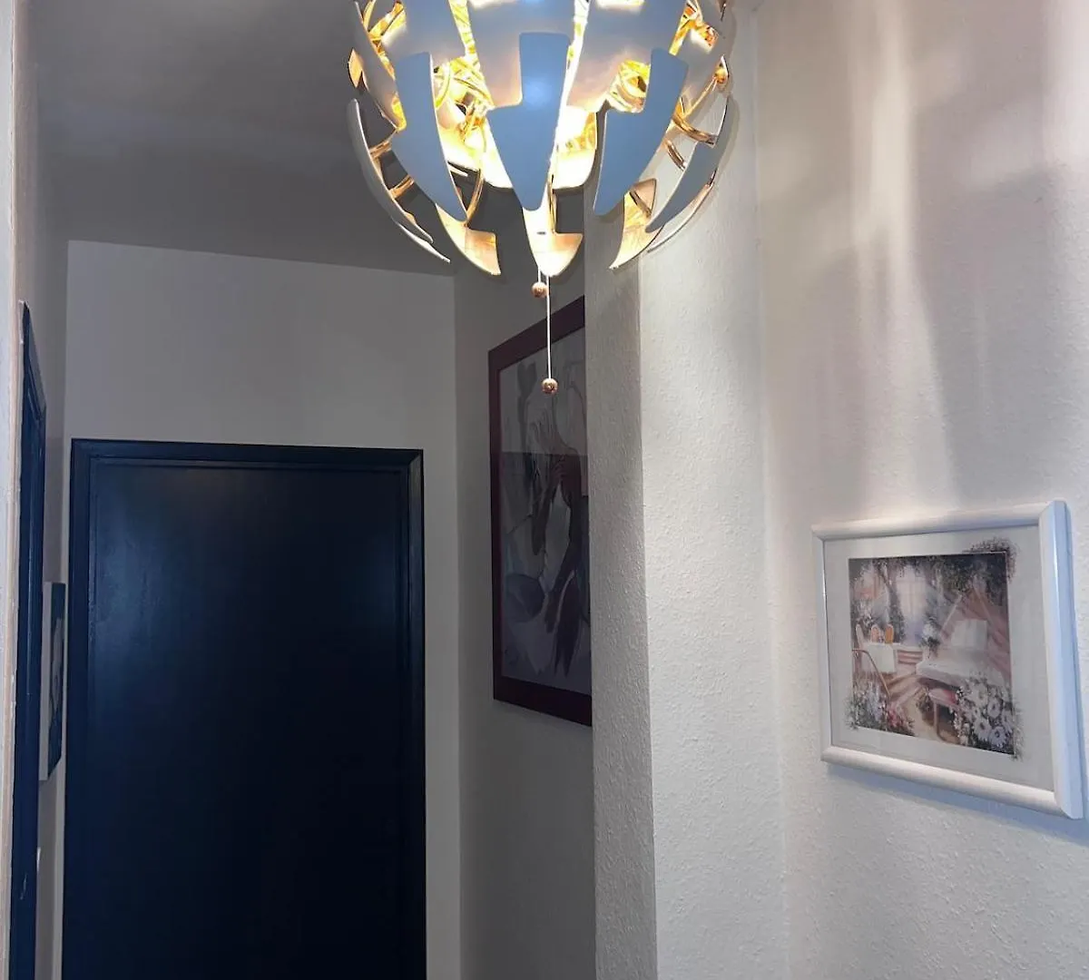 Patrimoine Albigeois 36 Hdv Duplex Appartement
