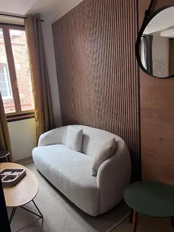 Patrimoine Albigeois 36 Hdv Duplex Appartement Frankrijk