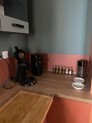 Patrimoine Albigeois 36 Hdv Duplex Appartement Albi
