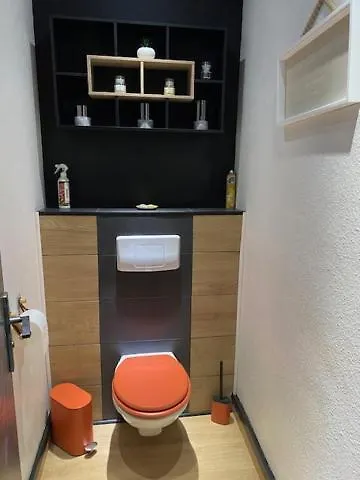 Patrimoine Albigeois 36 Hdv Duplex Appartement 0*, Albi Frankrijk