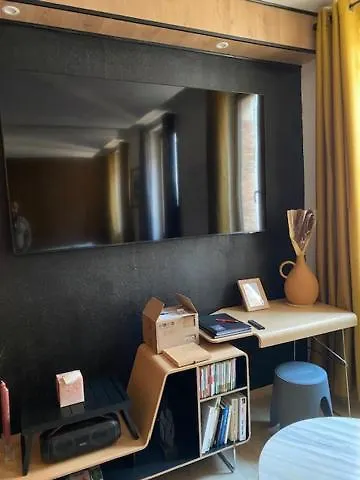 Patrimoine Albigeois 36 Hdv Duplex Appartement  Albi